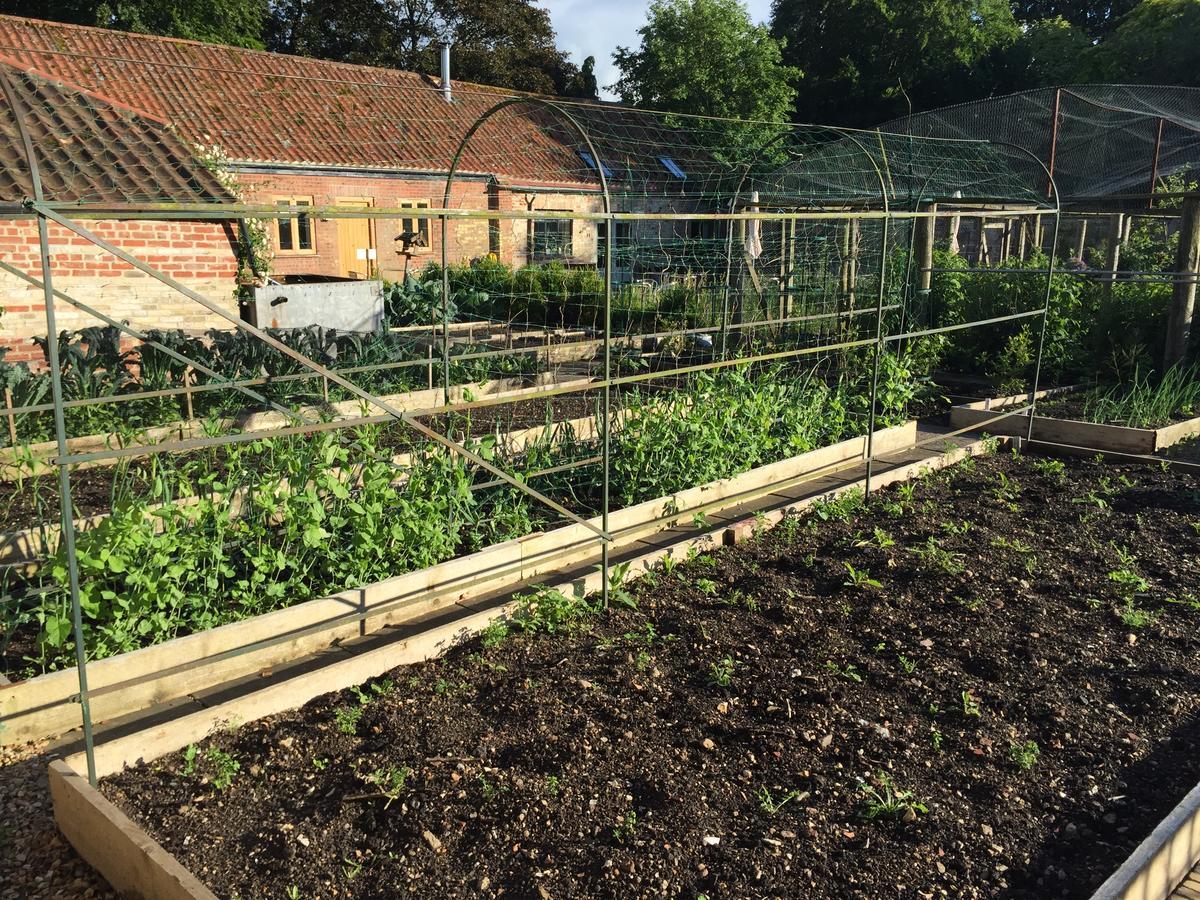 Chippenham Park Garden Rooms Exterior photo